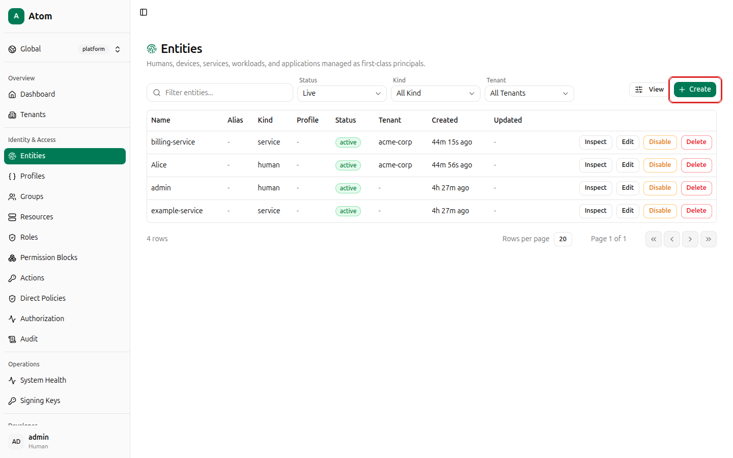 Entities page with Create button highlighted