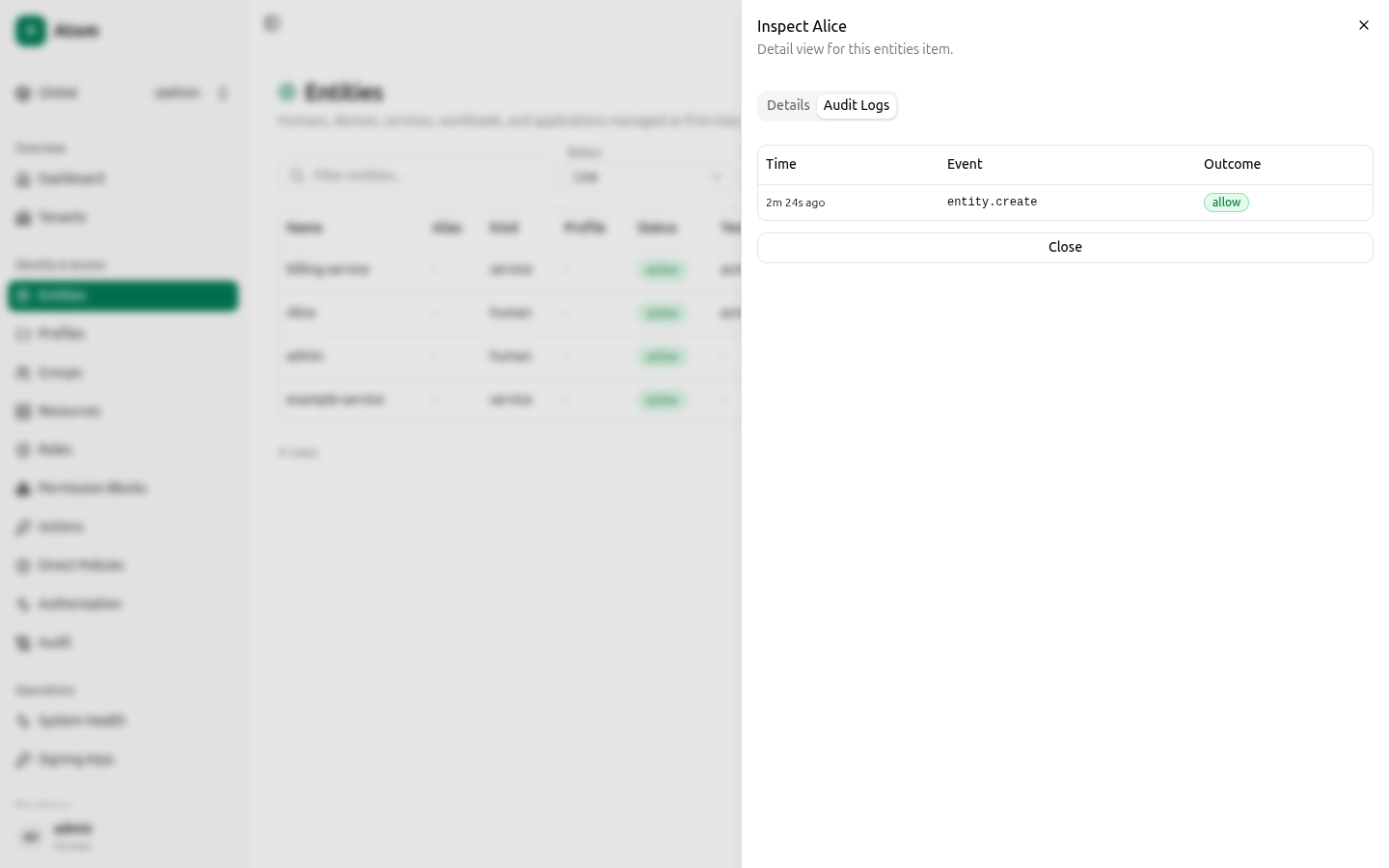 Entity inspect, Audit Logs tab